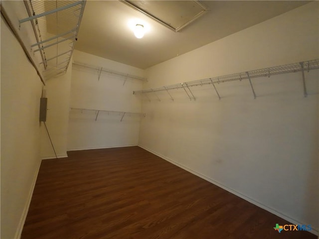 walk in closet featuring dark hardwood / wood-style floors