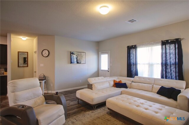 living room featuring hardwood / wood-style floors