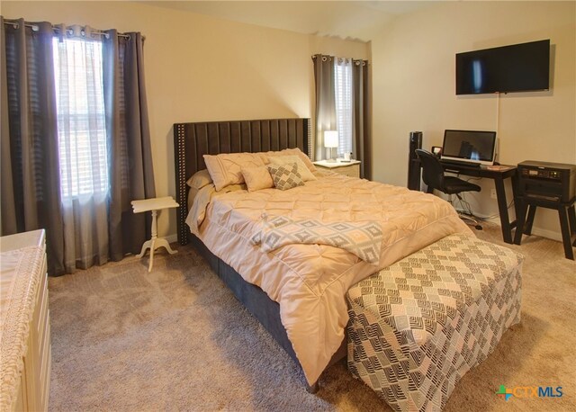 bedroom featuring multiple windows and carpet floors