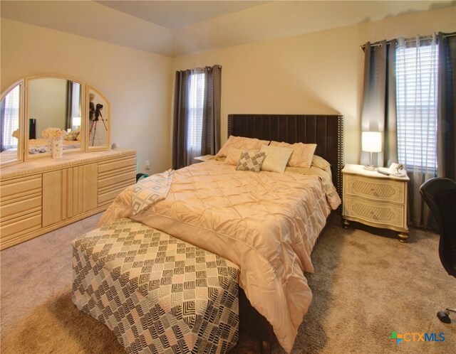 bedroom featuring carpet floors