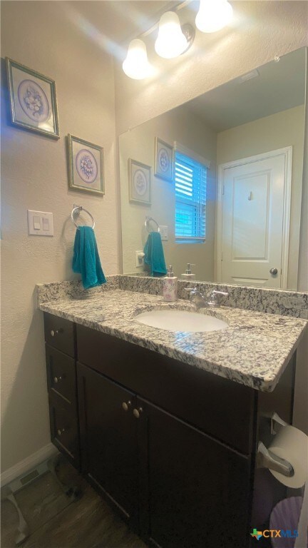 bathroom with vanity and wood-type flooring