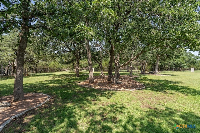 201 Roble Roja Dr, Georgetown, TX 78633 - photo 38
