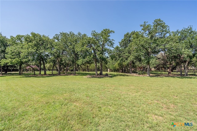201 Roble Roja Dr, Georgetown, TX 78633 - photo 37