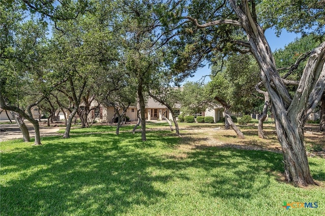 201 Roble Roja Dr, Georgetown, TX 78633 - photo 3