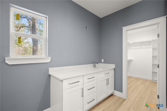 bathroom with wood-type flooring and vanity