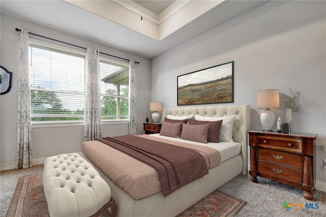 1812 Gibraltar Dr, San Marcos, TX 78666 - bedroom featuring carpet and baseboards