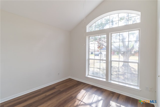 spare room with high vaulted ceiling and dark hardwood / wood-style flooring