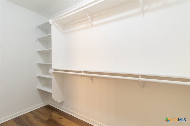 walk in closet featuring dark hardwood / wood-style floors