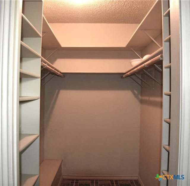 765 Benchmark Trl, Belton, TX 76513 - view of walk in closet