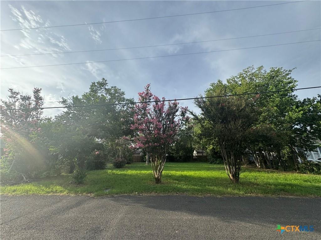 712 Johnson Ave, Seguin, TX 78155 - photo 1