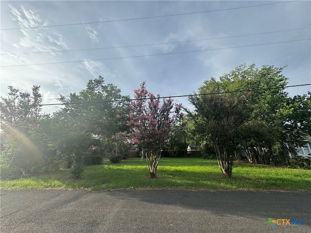 712 Johnson Ave, Seguin, TX 78155 - photo 1