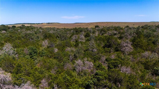 TBD Whitesands Trail, Dale, TX 78616 - photo 13