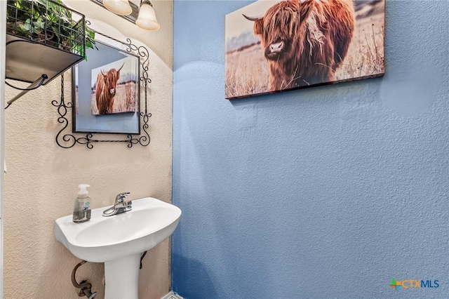 846 Thomas St, Copperas Cove, TX 76522 - bathroom with a textured wall