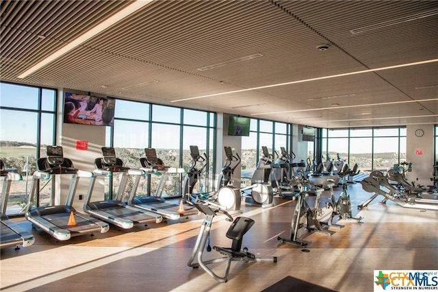 workout area with expansive windows and wood-type flooring