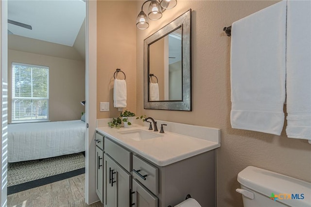 bathroom with hardwood / wood-style flooring, vanity, and toilet