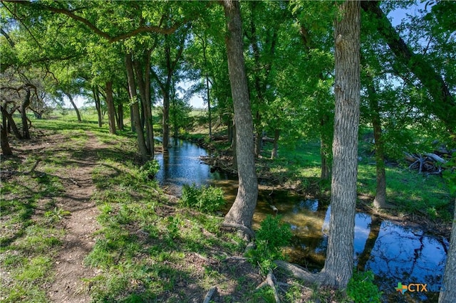 191 Pivot Cir, Briggs, TX 78608