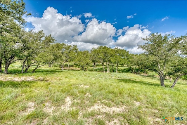 191 Pivot Cir, Briggs, TX 78608