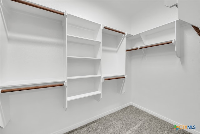 walk in closet with carpet