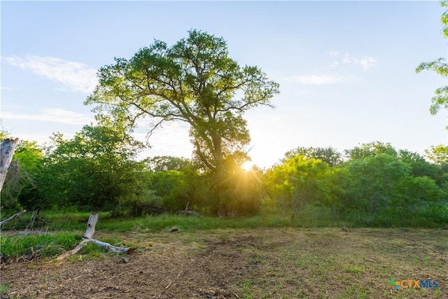 000 Fm 1117, Seguin, TX 78155