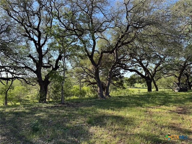 000 Fm 1117, Seguin, TX 78155