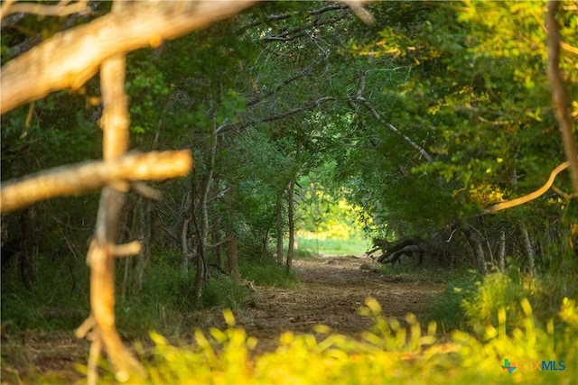 000 Fm 1117, Seguin, TX 78155