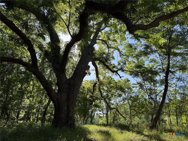 000 Fm 1117, Seguin, TX 78155
