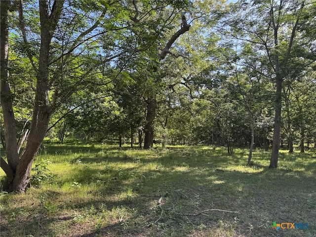 000 Fm 1117, Seguin, TX 78155