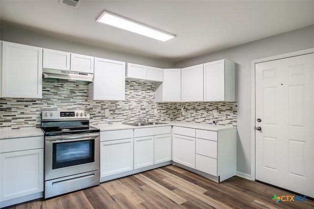 1504 Phyllis Dr, Copperas Cove, TX 76522 - kitchen with stainless steel electric range, under cabinet range hood, light countertops, a sink, and backsplash
