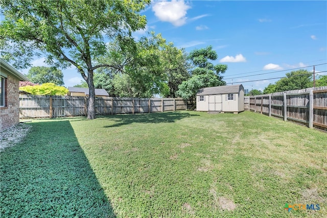 view of yard featuring a shed