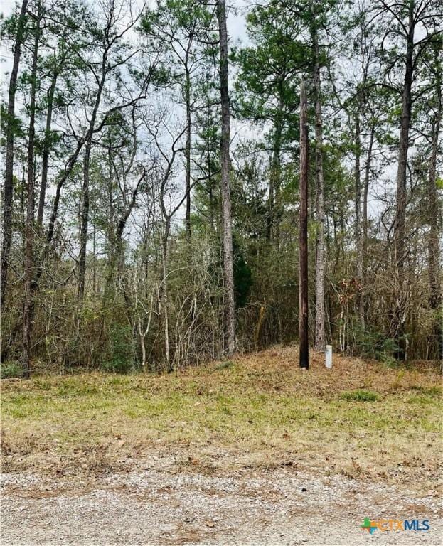 LOT380 County Road 6494, Dayton, TX 77535 - photo 6
