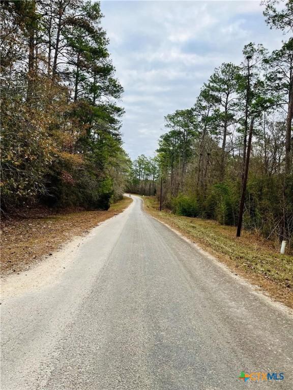 LOT380 County Road 6494, Dayton, TX 77535 - photo 3