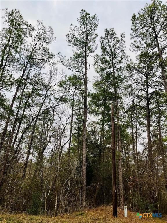 LOT380 County Road 6494, Dayton, TX 77535 - photo 5