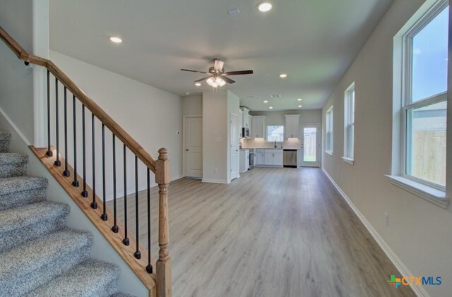 1247 Casetta Run, New Braunfels, TX 78130 - photo 3