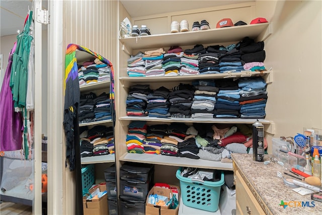 view of walk in closet