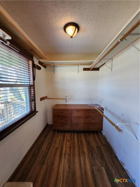 walk in closet with dark wood-type flooring