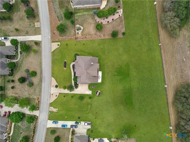 drone / aerial view
