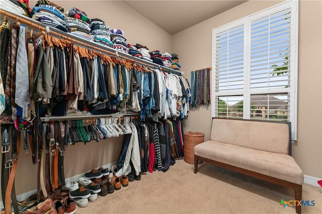 walk in closet featuring carpet