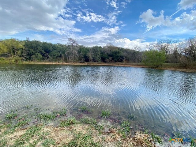 1637 Bob White Dr, Spring Branch, TX 78070 - water view with a forest