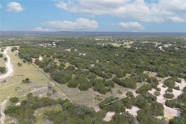 23168 Wolfridge Rd, Killeen, TX 76549 - photo 36
