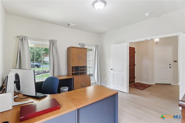 19303 Anna Kate Ct, Pflugerville, TX 78660 - office featuring light wood finished floors