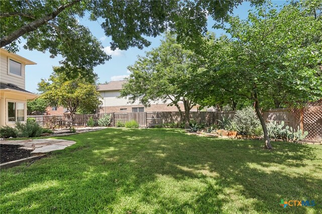 19303 Anna Kate Ct, Pflugerville, TX 78660 - view of yard
