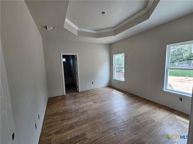 1420 Canyon Bnd, Canyon Lake, TX 78133 - unfurnished room with crown molding, a tray ceiling, and wood finished floors