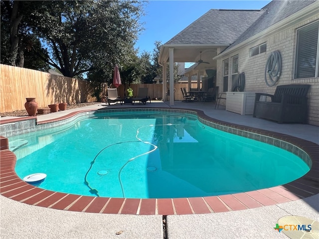 view of swimming pool featuring a patio area and ceiling fan