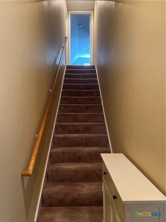 stairs featuring carpet