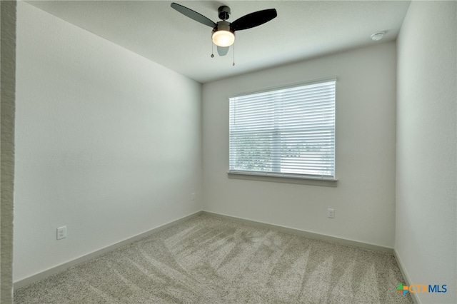 13601 Baileyfield Dr, Pflugerville, TX 78660 - photo 15