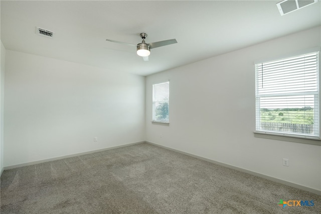 13601 Baileyfield Dr, Pflugerville, TX 78660 - photo 10
