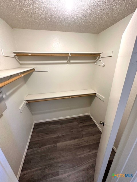 spacious closet with dark wood-type flooring