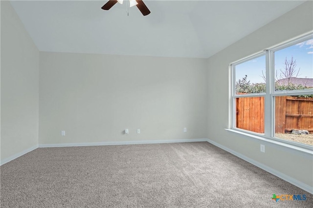 342 Callalily, New Braunfels, TX 78132