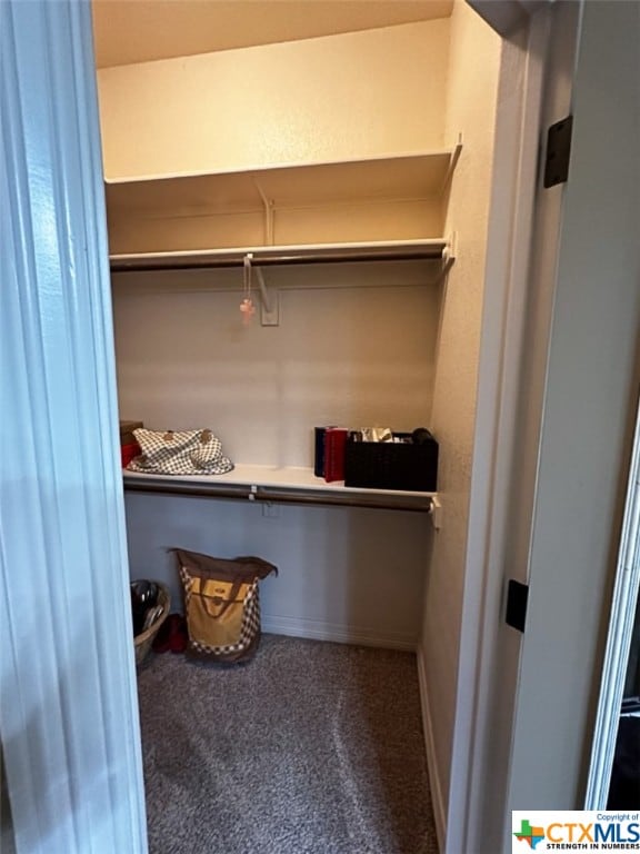 walk in closet featuring carpet