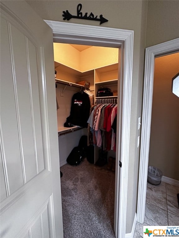 walk in closet featuring carpet floors